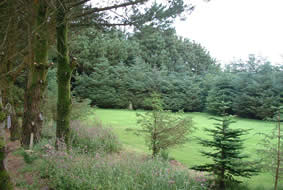Part of the Campsite area, close to the Showman's Caravan