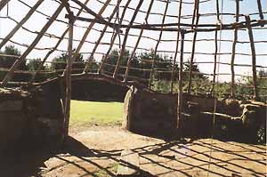 Thatched with sunlight